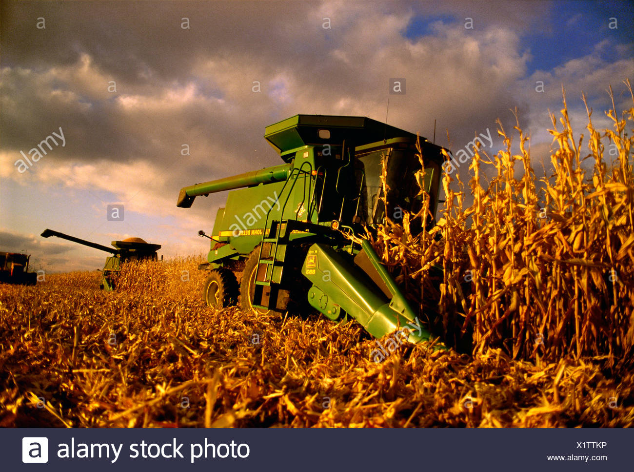 Landwirtschaft Mahdrescher Ernten Getreide Mais Wahrend Ein