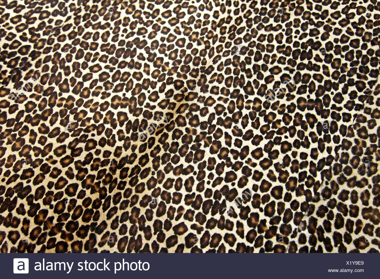 Leopard Hintergrund Stockfotografie Alamy