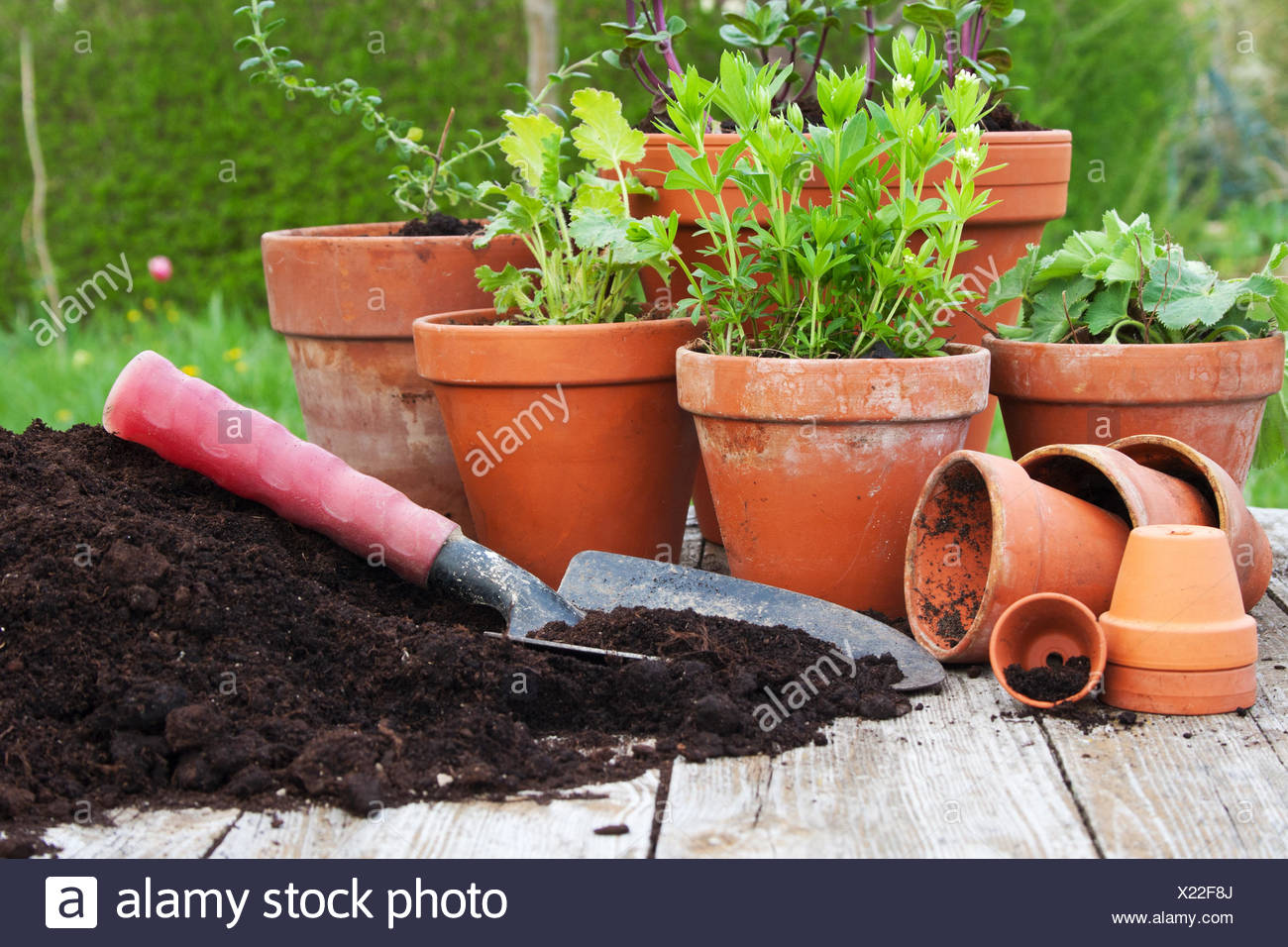 Fruhling Blumentopf Gartenarbeit Topfe Mutterboden Krauter