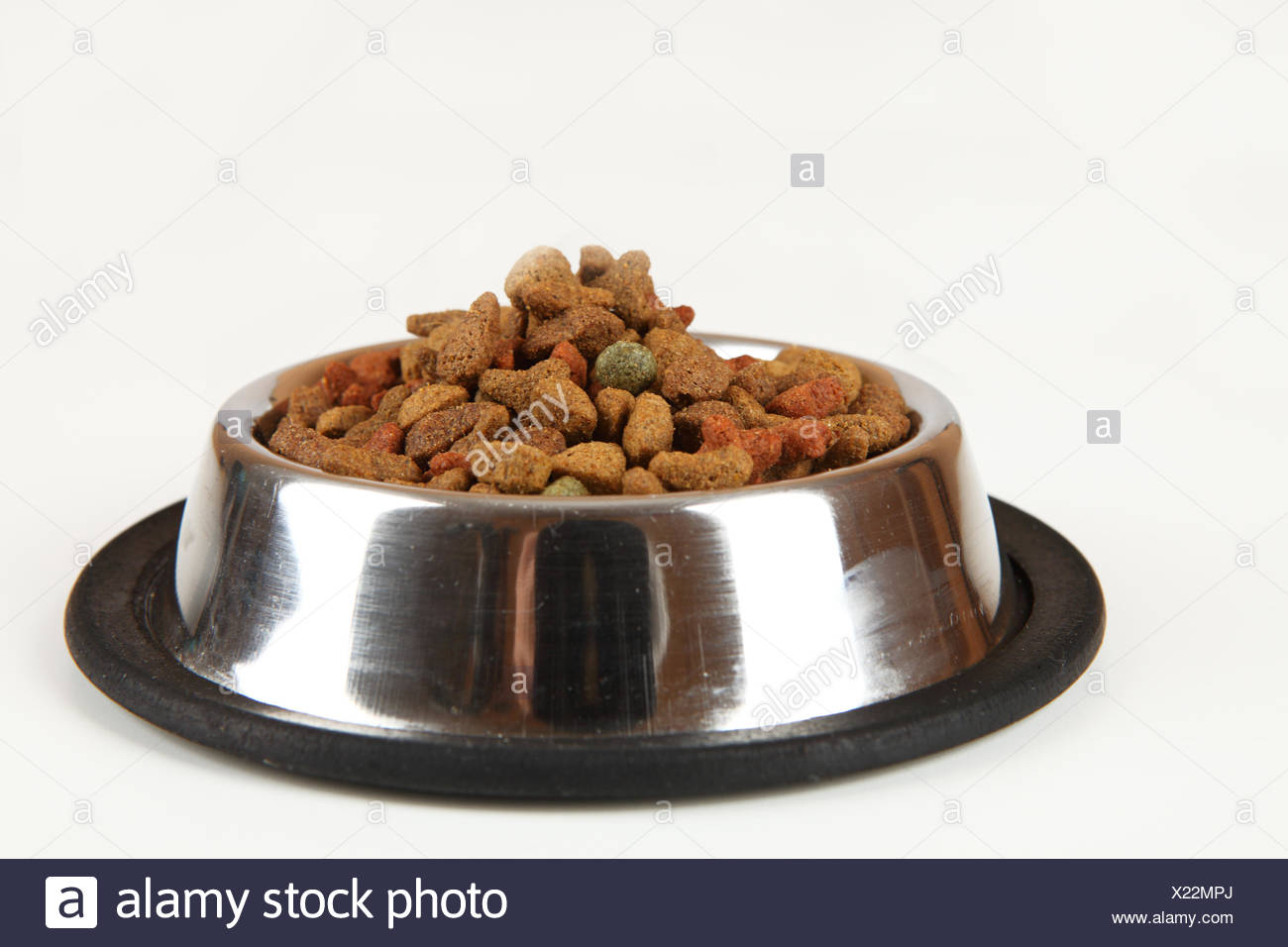 Lebensmittel Nahrungsmittel Futter Tier Tiere Haustiere Hunde Schlucht Verschlingen Fressen Stockfotografie Alamy