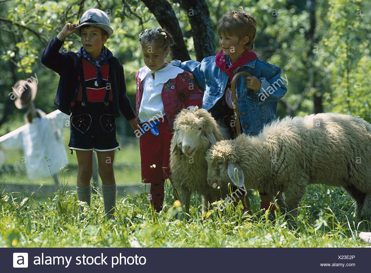 Wiese Madchen Junge Schaf Garten Weide Freunde Geschwister