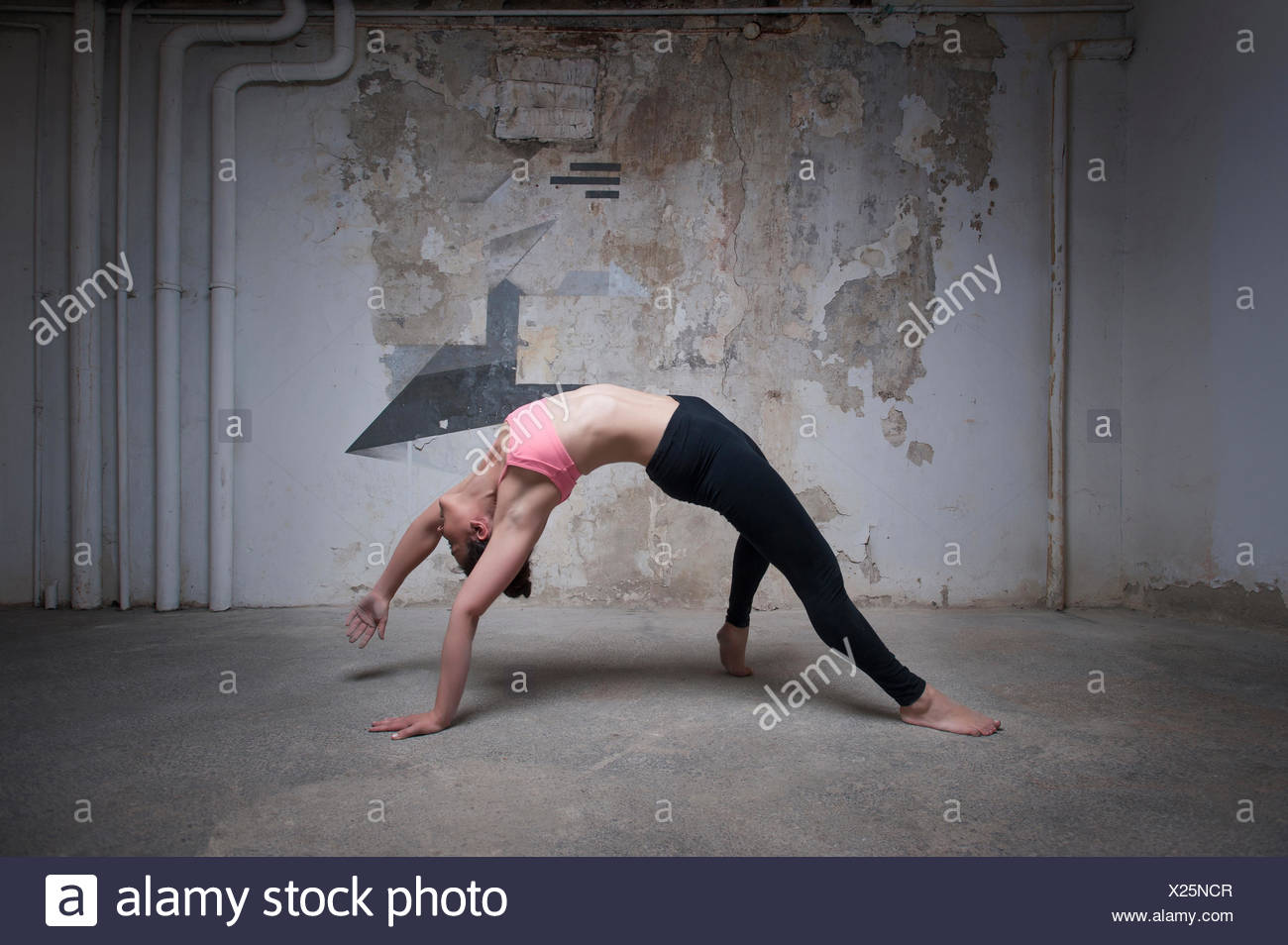 Das Wilde Ding Machen Stockfotos Und Bilder Kaufen Alamy