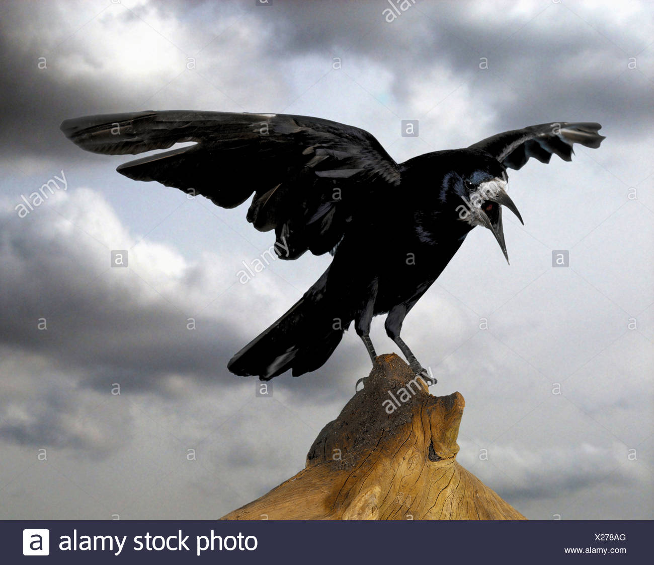 Unheimlicher Stockfotos und -bilder Kaufen - Alamy