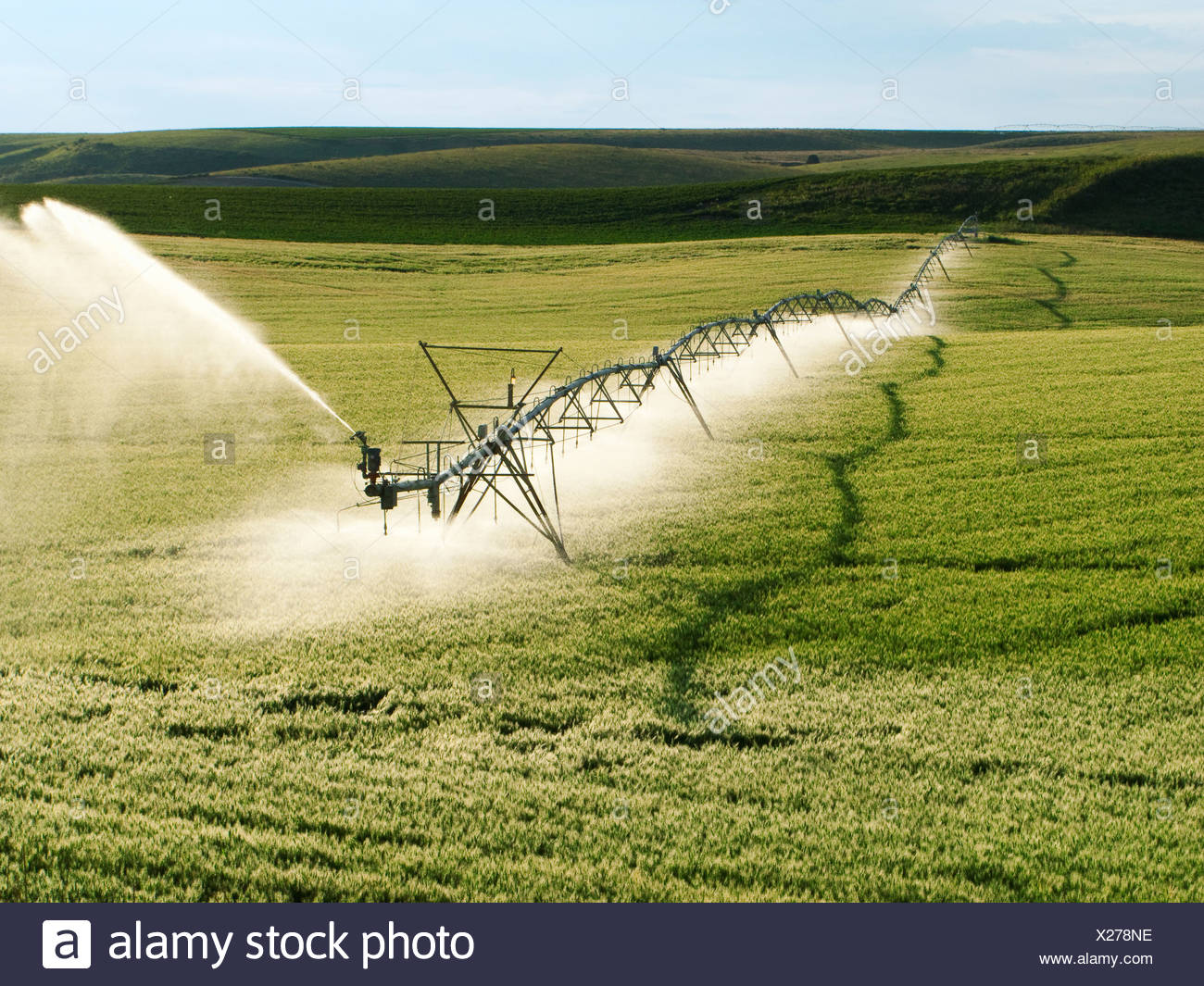 Landwirtschaft Stockfotos & Landwirtschaft Bilder - Alamy