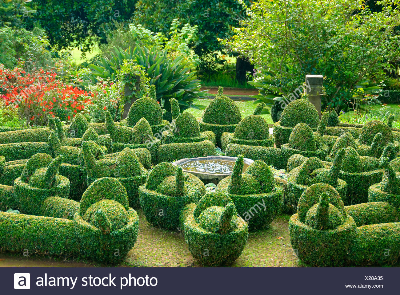 Planting Box Hedge Stockfotos & Planting Box Hedge Bilder - Alamy