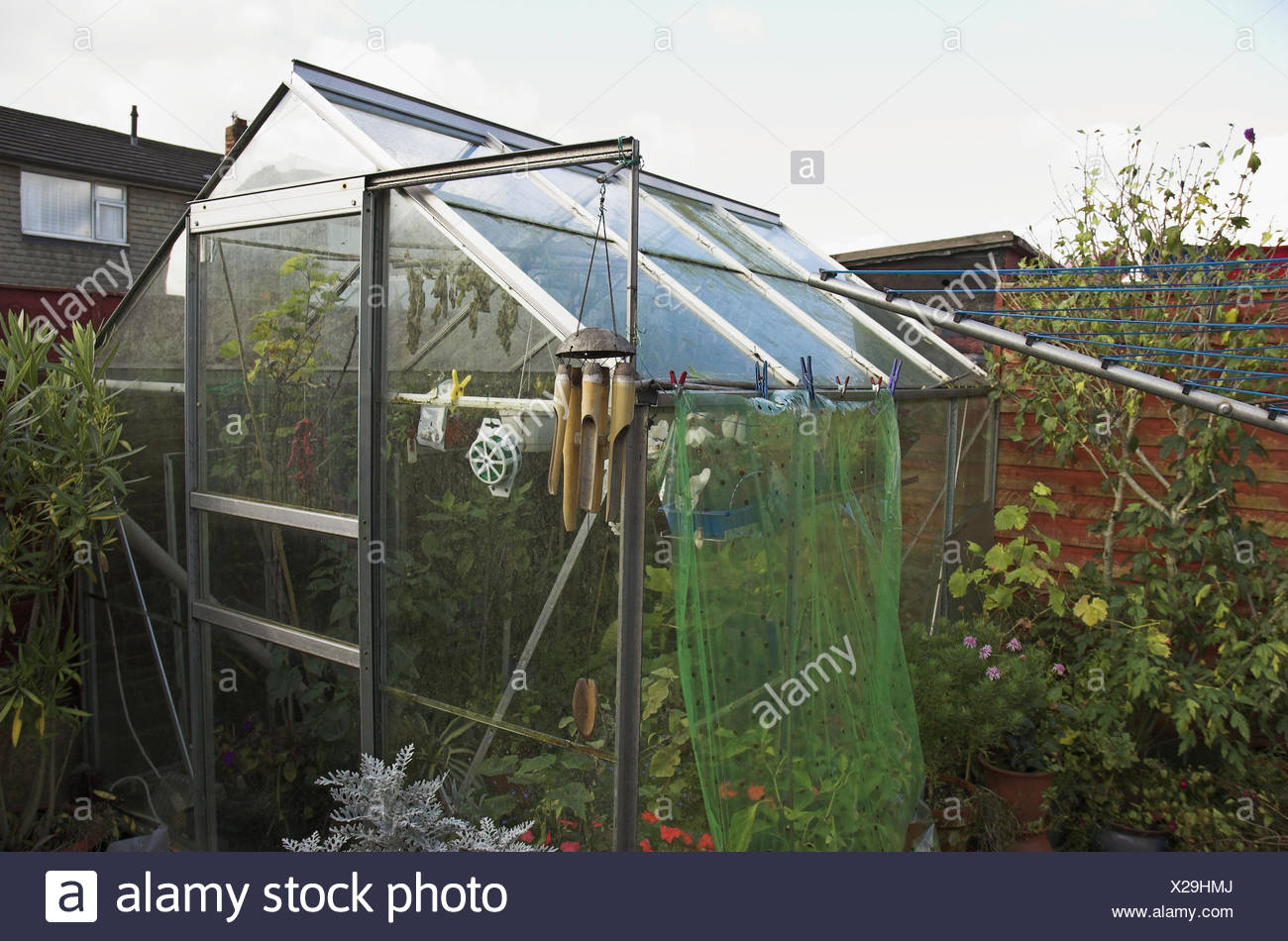 Garten Gewachshaus Grun Haus Glas Glashaus Mikro Klima