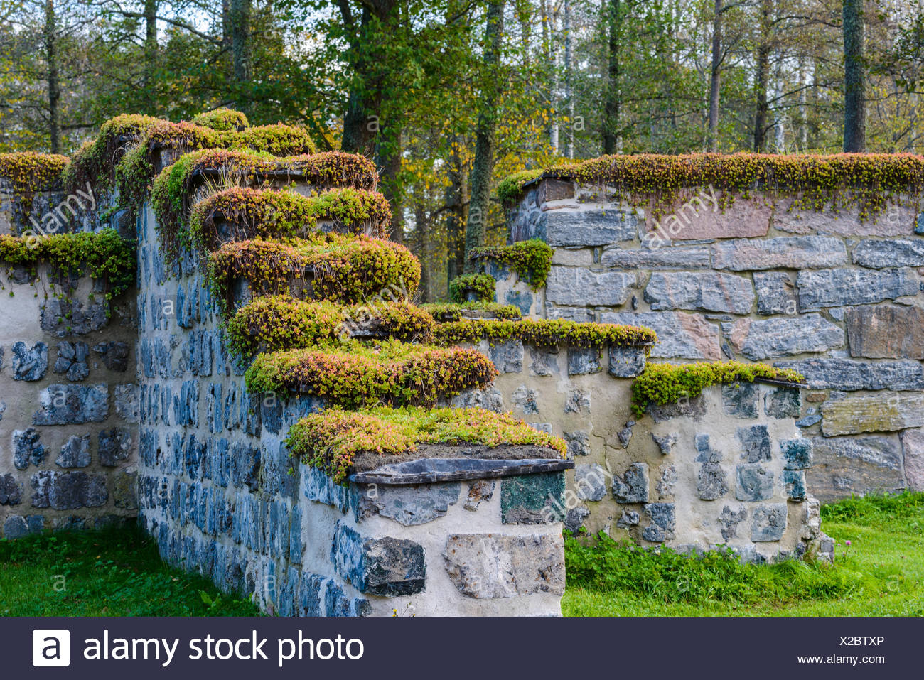 Pflanzen Auf Steinmauer Stockfotografie Alamy