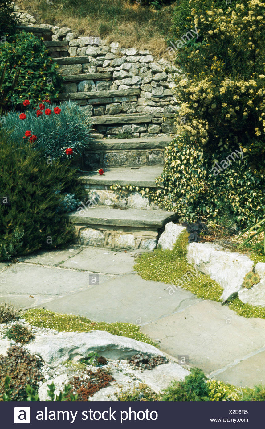 Stein Gepflasterten Pfad Und Steile Steintreppe Mit Niedrigen Pflanzen Von Rosen Efeu Und Heidekraut Im Hang Garten Stockfotografie Alamy