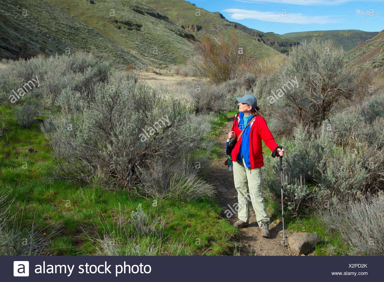 Umtanum Creek Trail, Yakima River Canyon Scenic und entspannende Highway, Wenas State Wildlife, Washington. Stockfoto