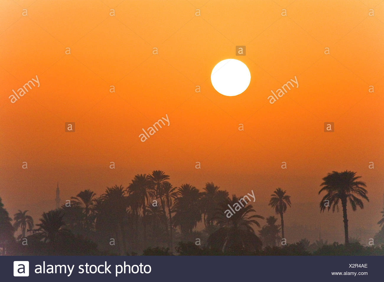 Sonnenaufgang Am Nil Agypten Edfu Stockfotografie Alamy
