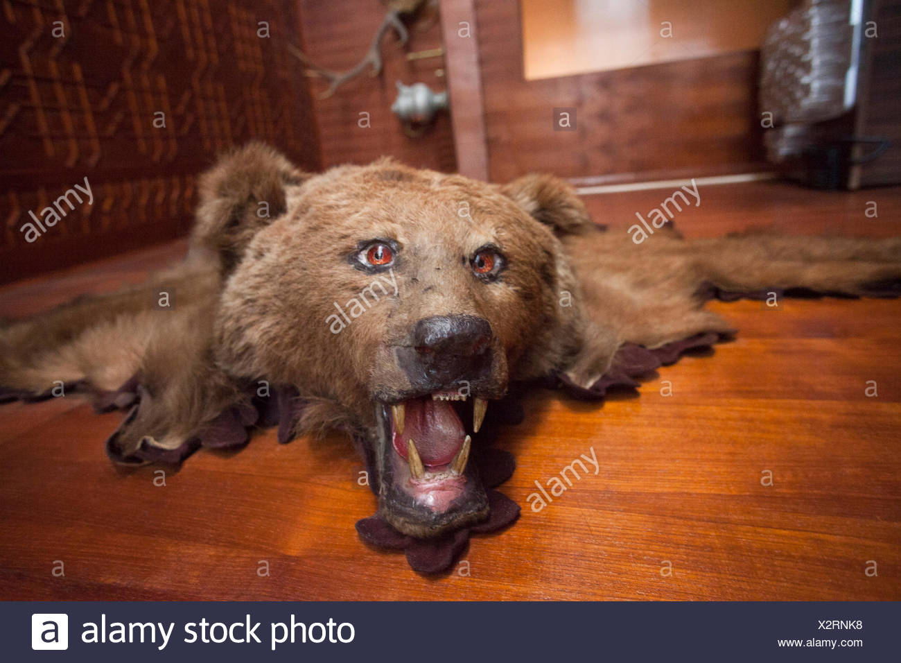 Barenhaut Teppich Stockfotos Barenhaut Teppich Bilder Alamy