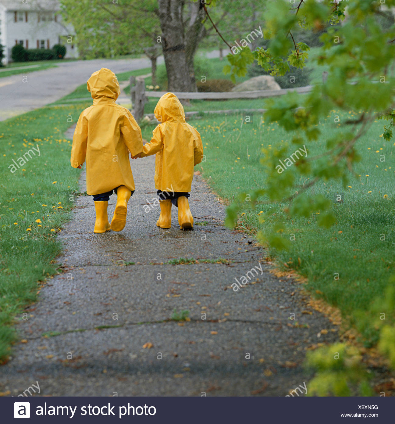 Ansicht Von Hinten Zwei Kleine Kinder Tragen Gelbe Regenmantel Und Gelb Regen Boote Hand In Hand Bei Einem Spaziergang Im Regen Stockfotografie Alamy
