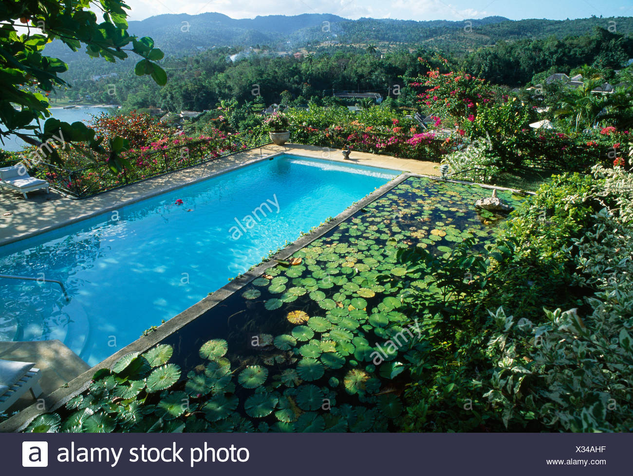 Blick Hinunter Auf Rechteckigen Turkisen Swimmingpool Neben Rechteckigen Lilie Pool Im Jamaikanischen Hang Garten Stockfotografie Alamy