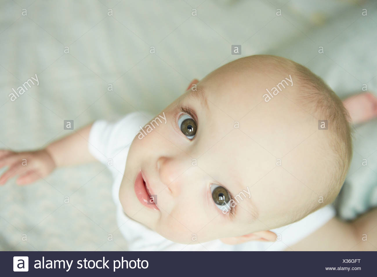 Baby Boy Auf Bett Kriechen Stockfoto Bild 277354556 Alamy