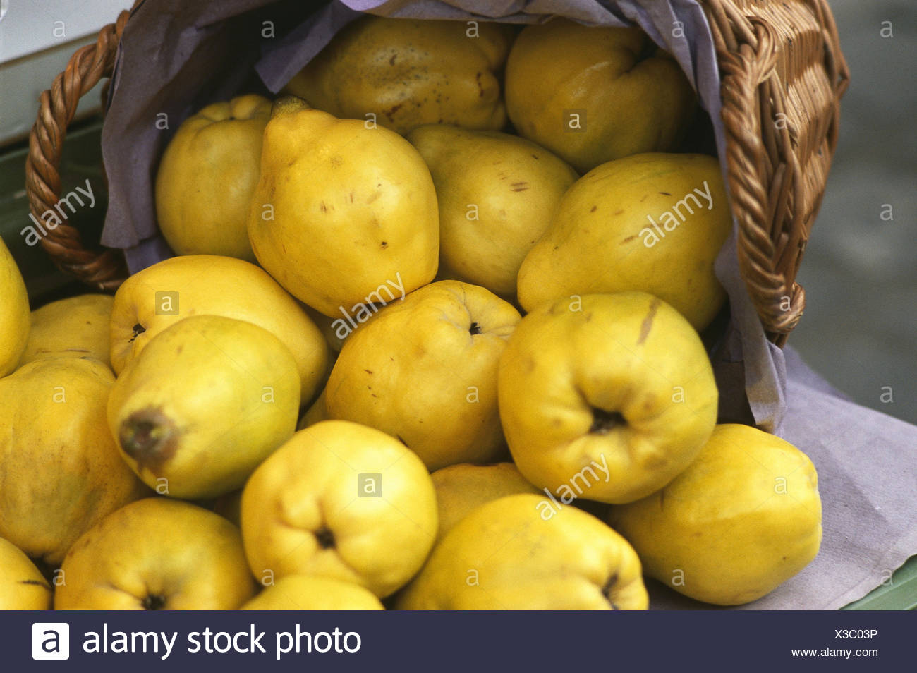 Korb Quitten Cydonia Oblonga Obst Fruchte Herbstfruchte