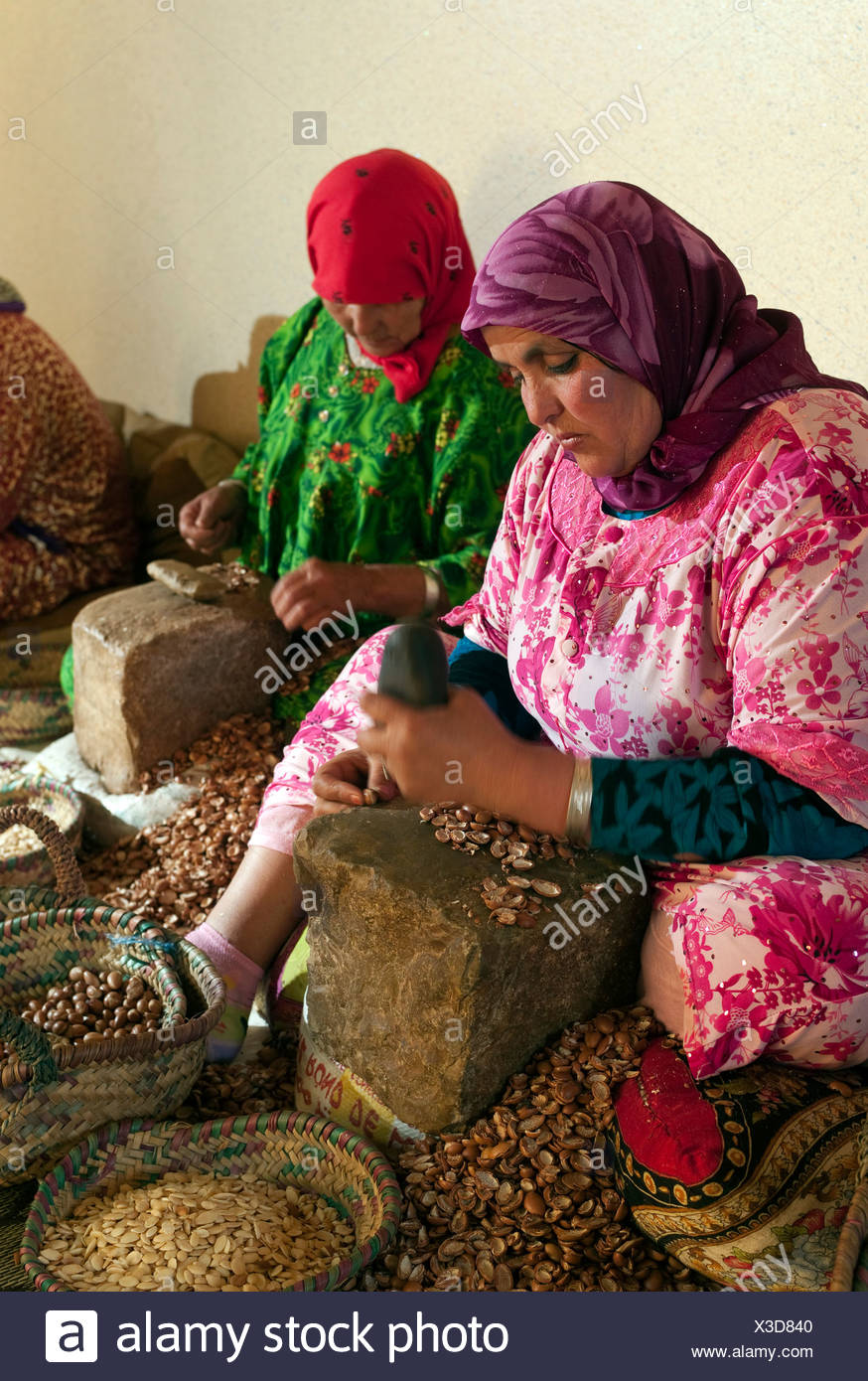 Produktion Von Argan Ol Von Marokkanischen Frauen Marokko Afrika Stockfotografie Alamy