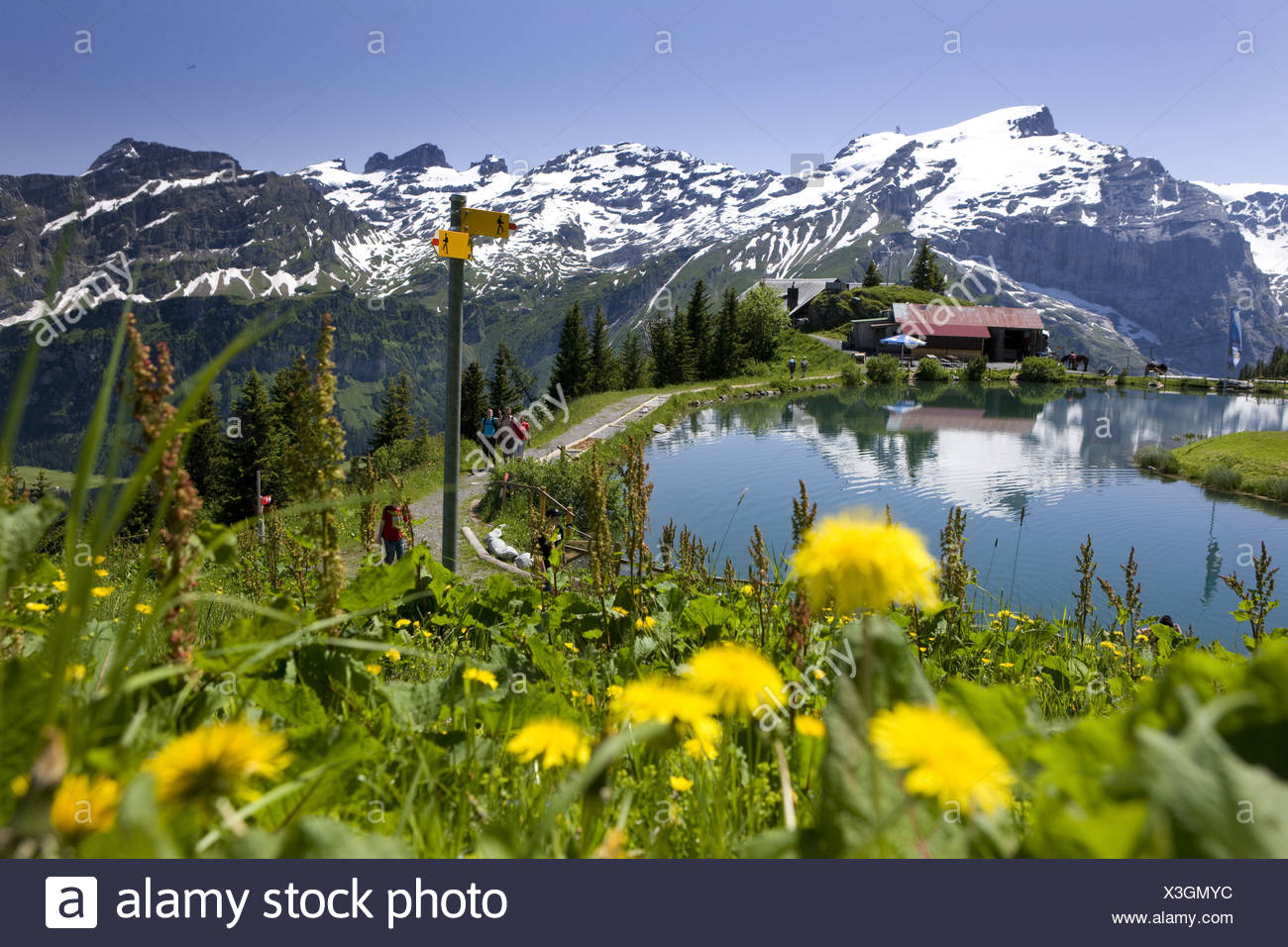 Schweiz Schweizer Landschaft Natur Brunni Berge Kanton Obwalden Schweiz Zentralschweizer Zentralschweiz Bergsee Stockfotografie Alamy