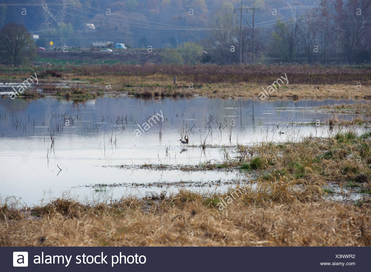 Konstruiertes Feuchtgebiet Stockfotos Und Bilder Kaufen Alamy