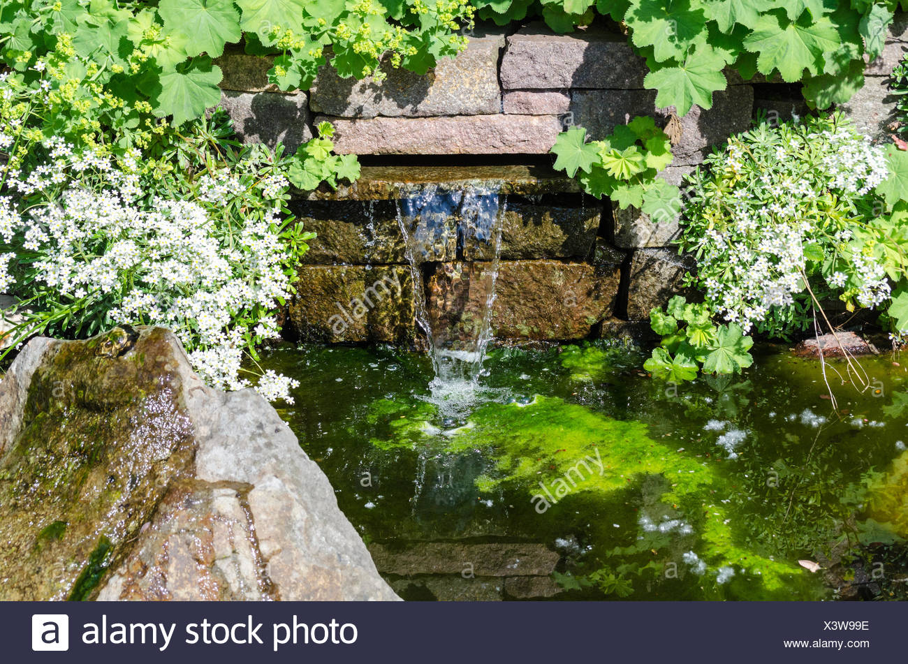 Blick Auf Einen Kleinen Wasserfall Und Gartenteich Stockfotografie Alamy