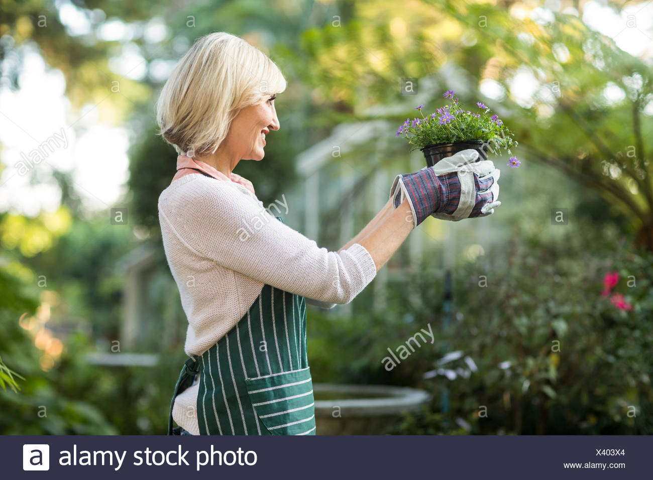 Erwachsener Erwachsener Gärtner Stockfotos & Erwachsener Erwachsener