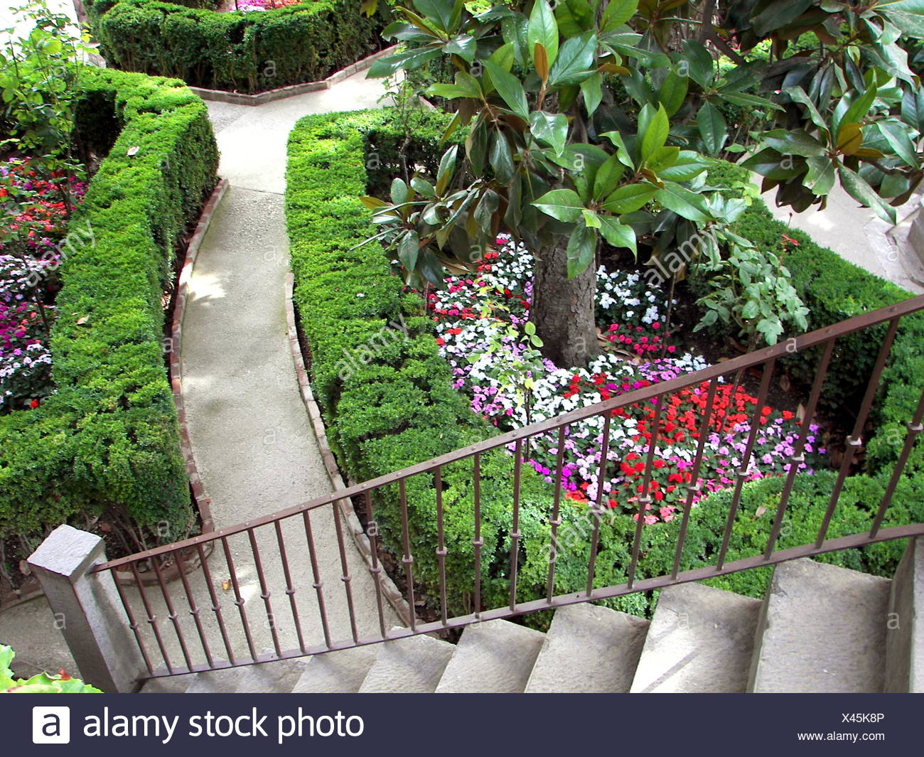 Treppen Baum Park Garten Blume Pflanze grün farbig bunt ...