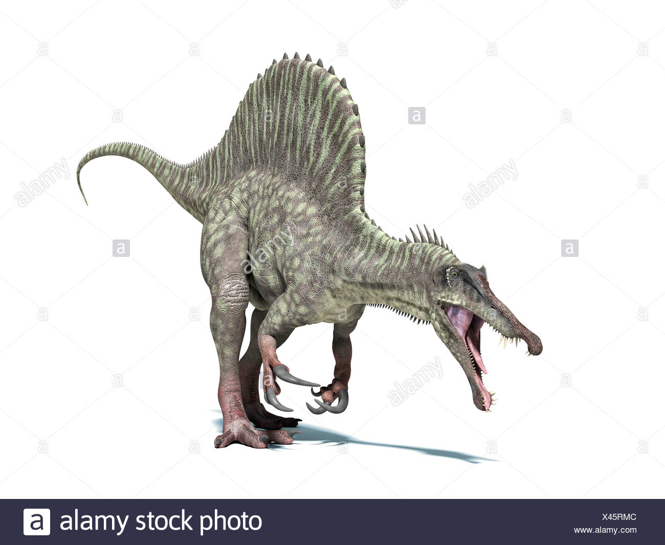 Spinosaurus Dinosaurier Computer Kunstwerk Dieser Dinosaurier 95