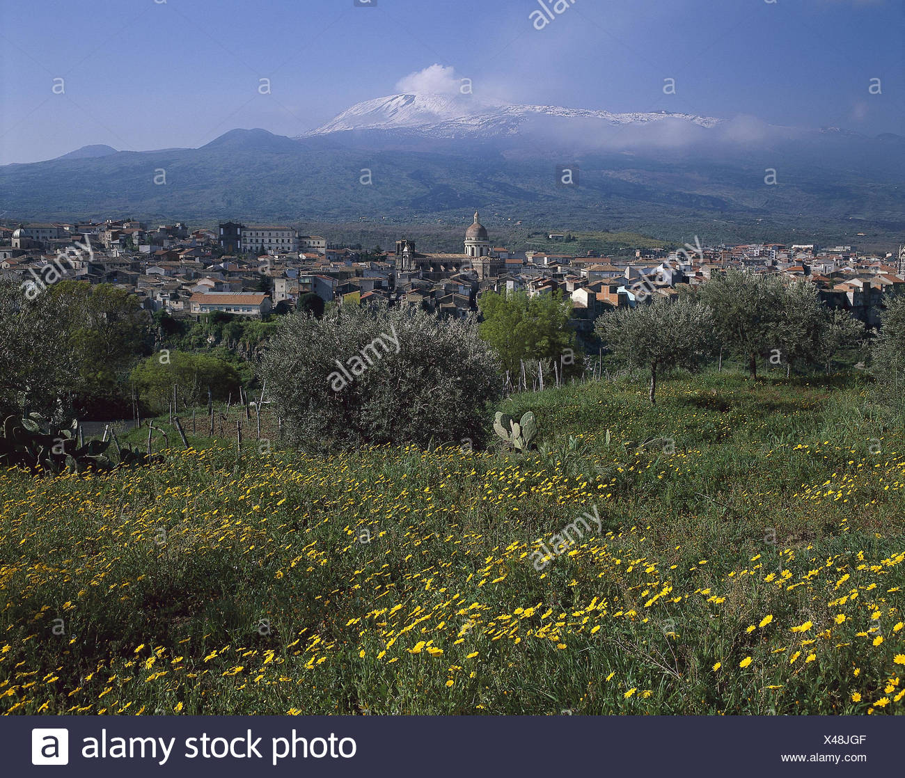 Italien Insel Sizilien Provinz Catania Randazzo Lokale Anzeigen Vulkan Atna Isola Tu Sicilia Provincia Tu Catania Val Di Noto Baume Blumen Blumenwiese Platzieren Aktiven Vulkan Atna Stockfotografie Alamy