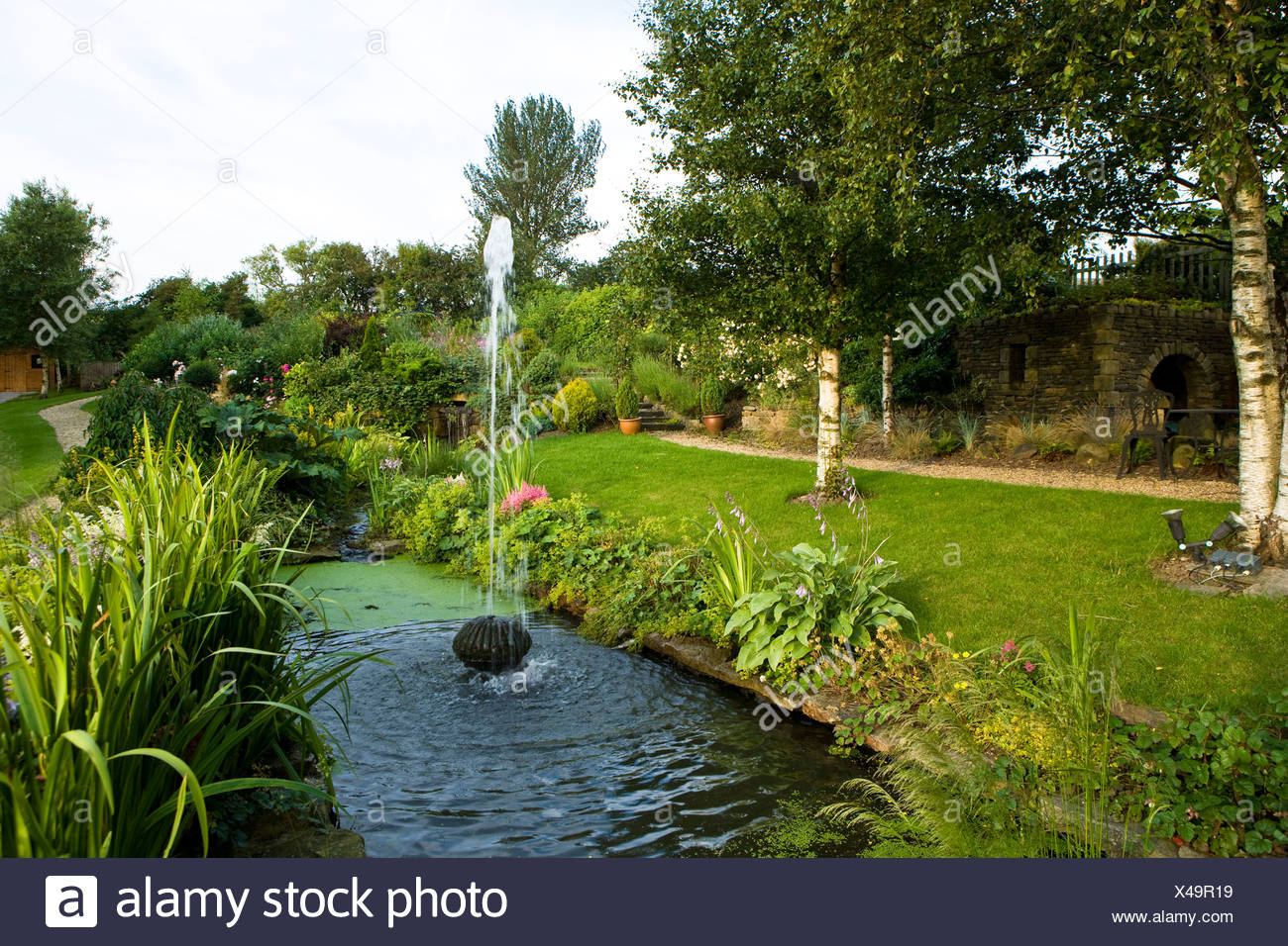 Silber Birken Und Einen Kleinen Pool Im Garten Mit Einem Brunnen