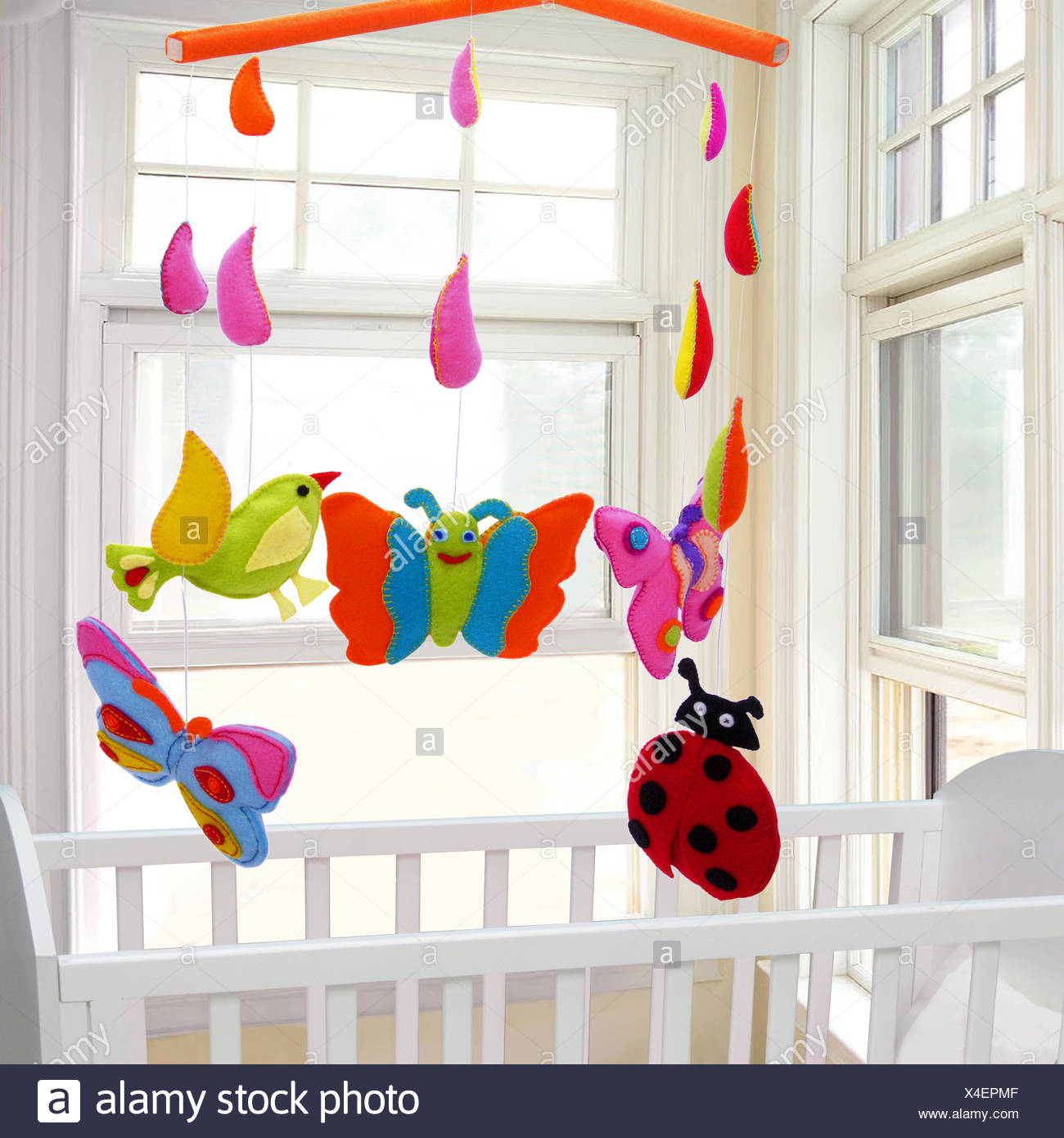 Baby Ladybug Stockfotos Baby Ladybug Bilder Alamy