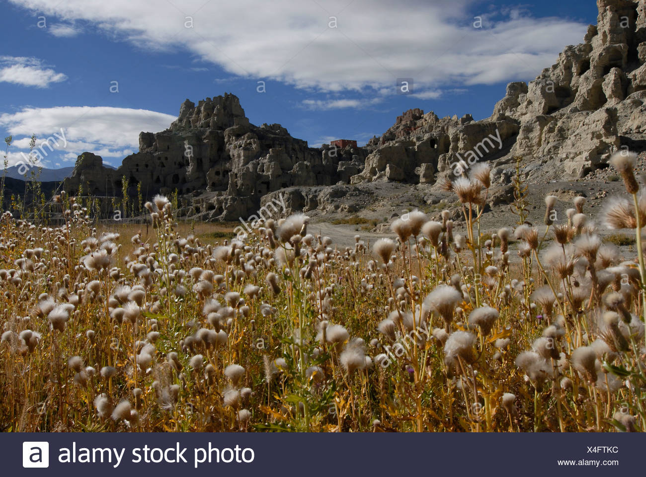 Felsformationen Dungkar Hohlen In Das Alte Konigreich Guge In Ngari Provinz Westlichen Tibet China Stockfotografie Alamy