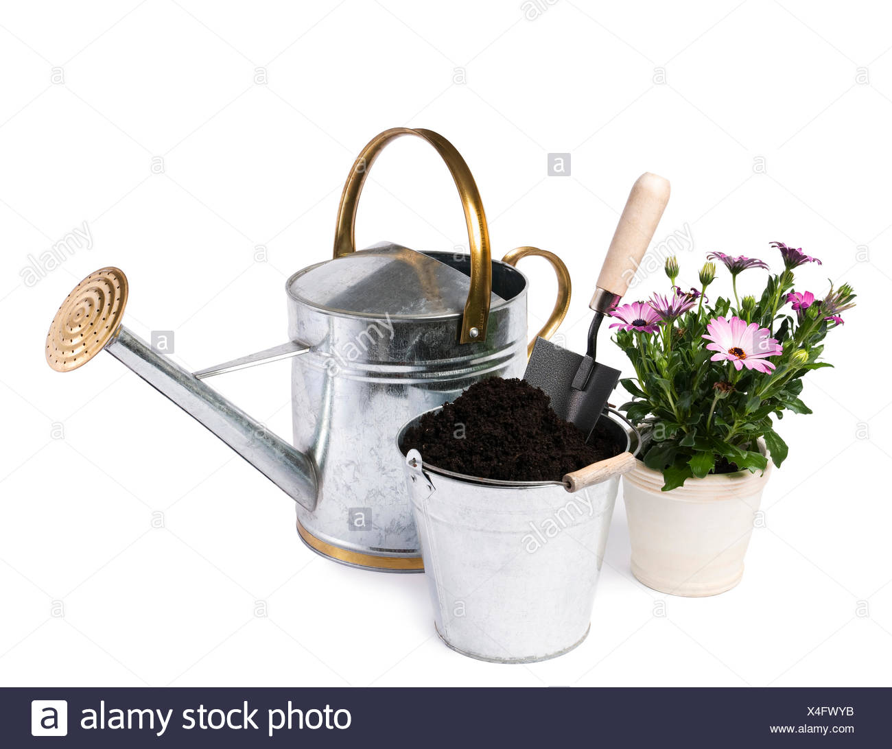 Werkzeuge Garten Boden Stockfoto Bild 278174159 Alamy