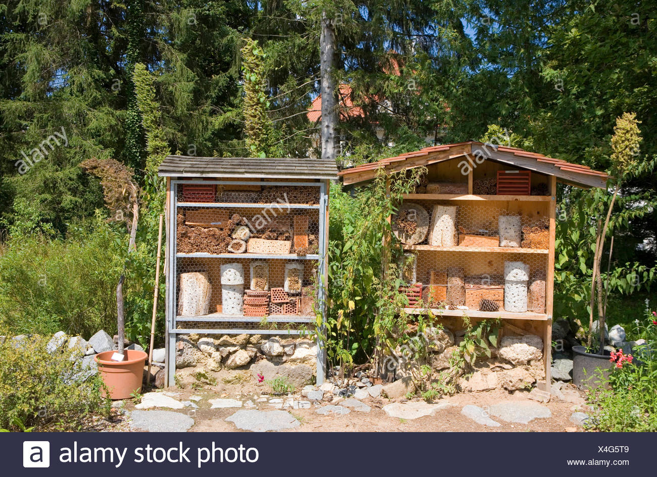 Botanischer Garten Munchen Nymphenburg Botanischer Garten