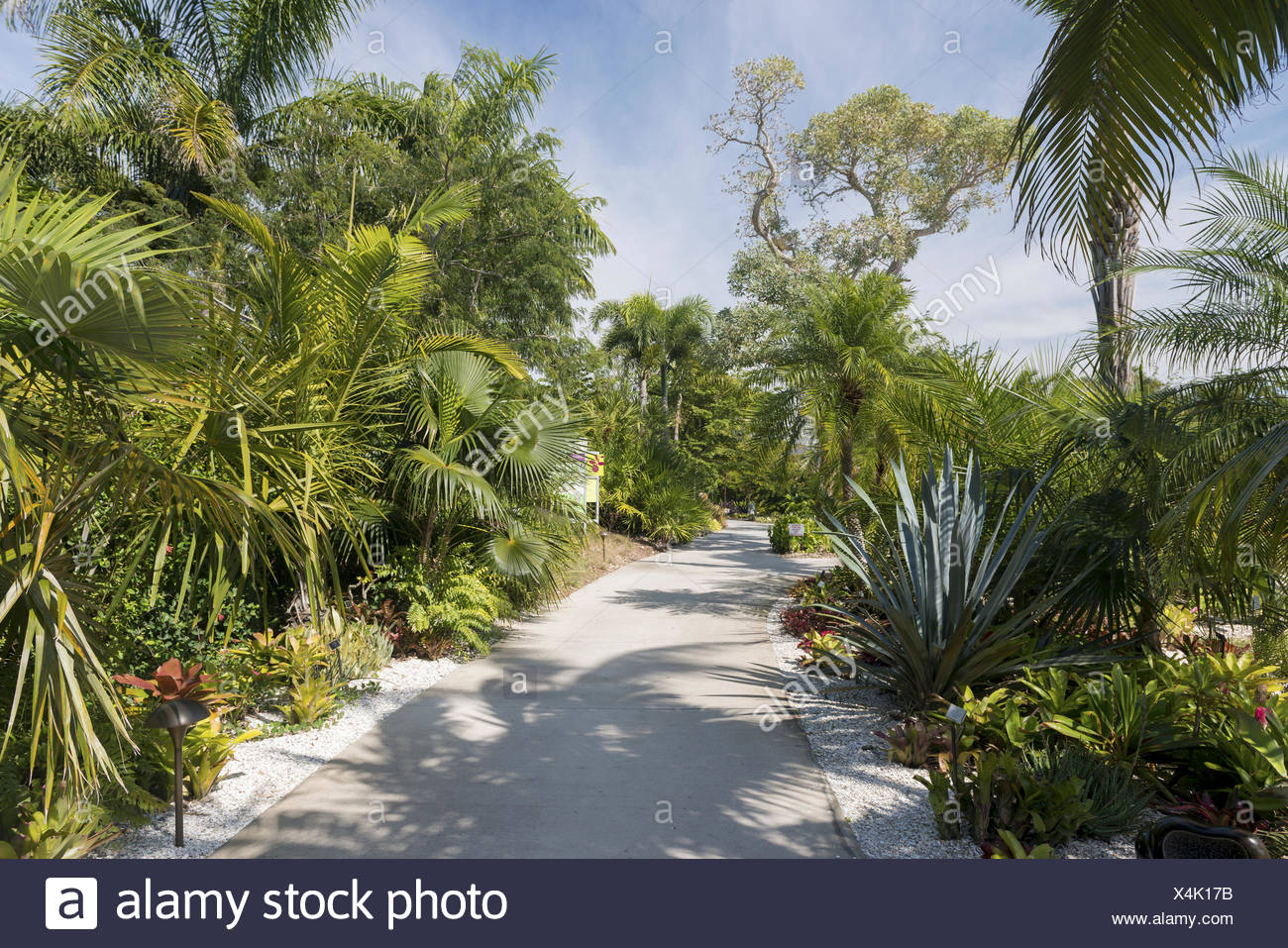 Neapel Botanischer Garten Stockfotos und bilder Kaufen Alamy