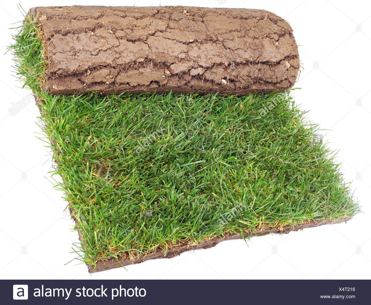 Roll Teppich Sod Teppich Walzen Wiese Rasen Rasen Grun