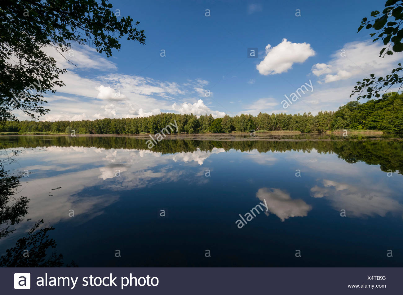 Naturschutzgebiet Moenchbruch Stockfotos und bilder Kaufen Alamy