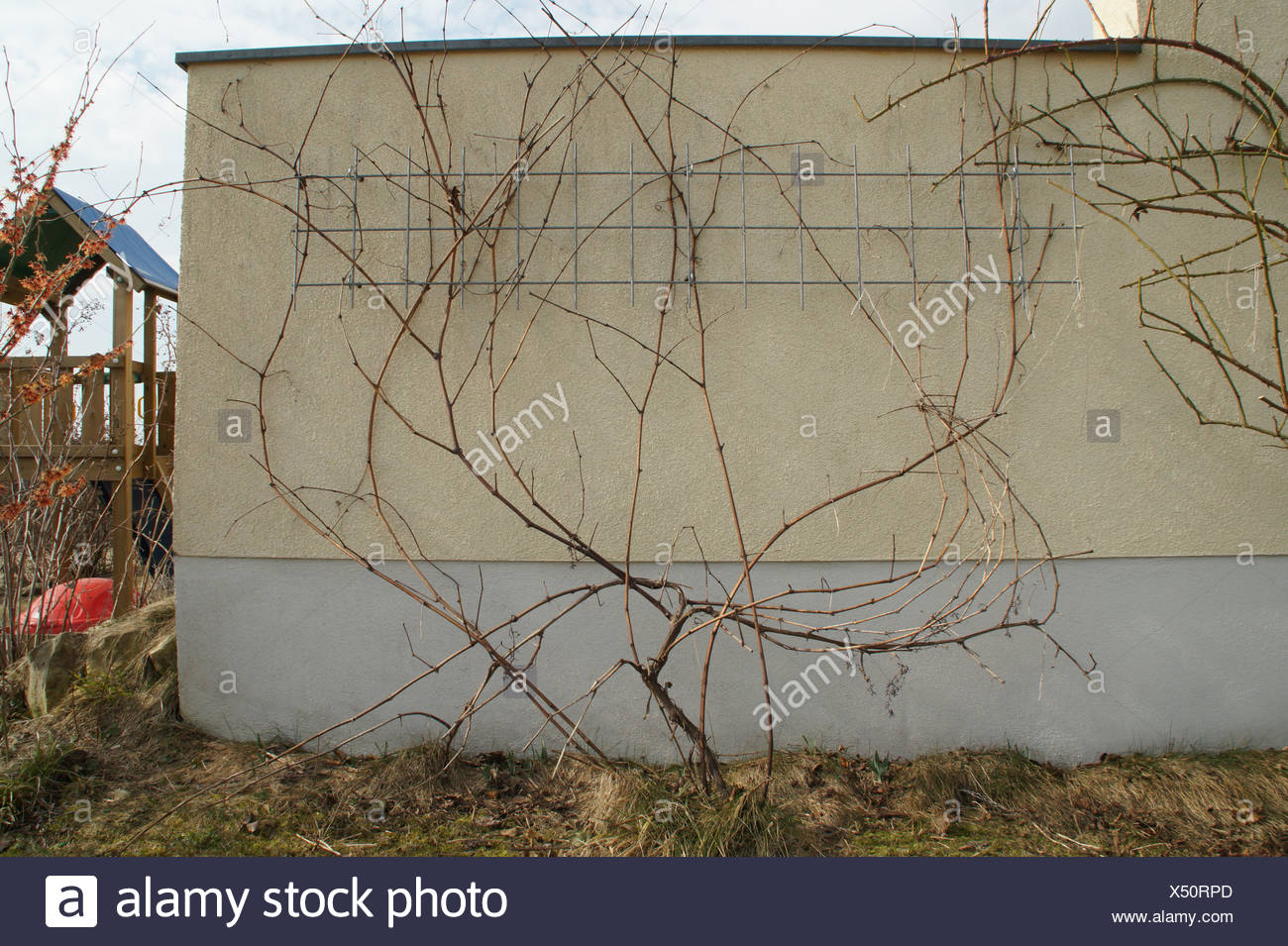 Eine Weinrebe Beschneiden Stockfoto Bild 278457829 Alamy