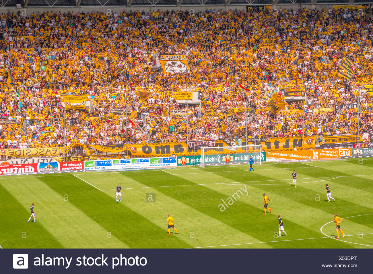 Deutschland Dresden Dynamo Dresden Spielt Im Gluecksgas Stadion