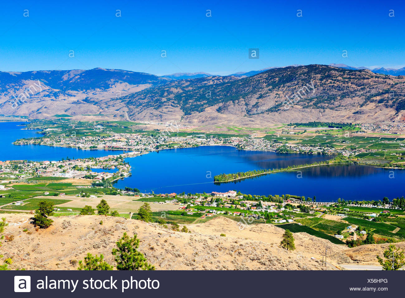 Blick Auf Die Wuste Gegend Um Osoyoos Und Osoyoos Lake In Osoyoos Bc Haynes Point Provincial Park Stockfotografie Alamy