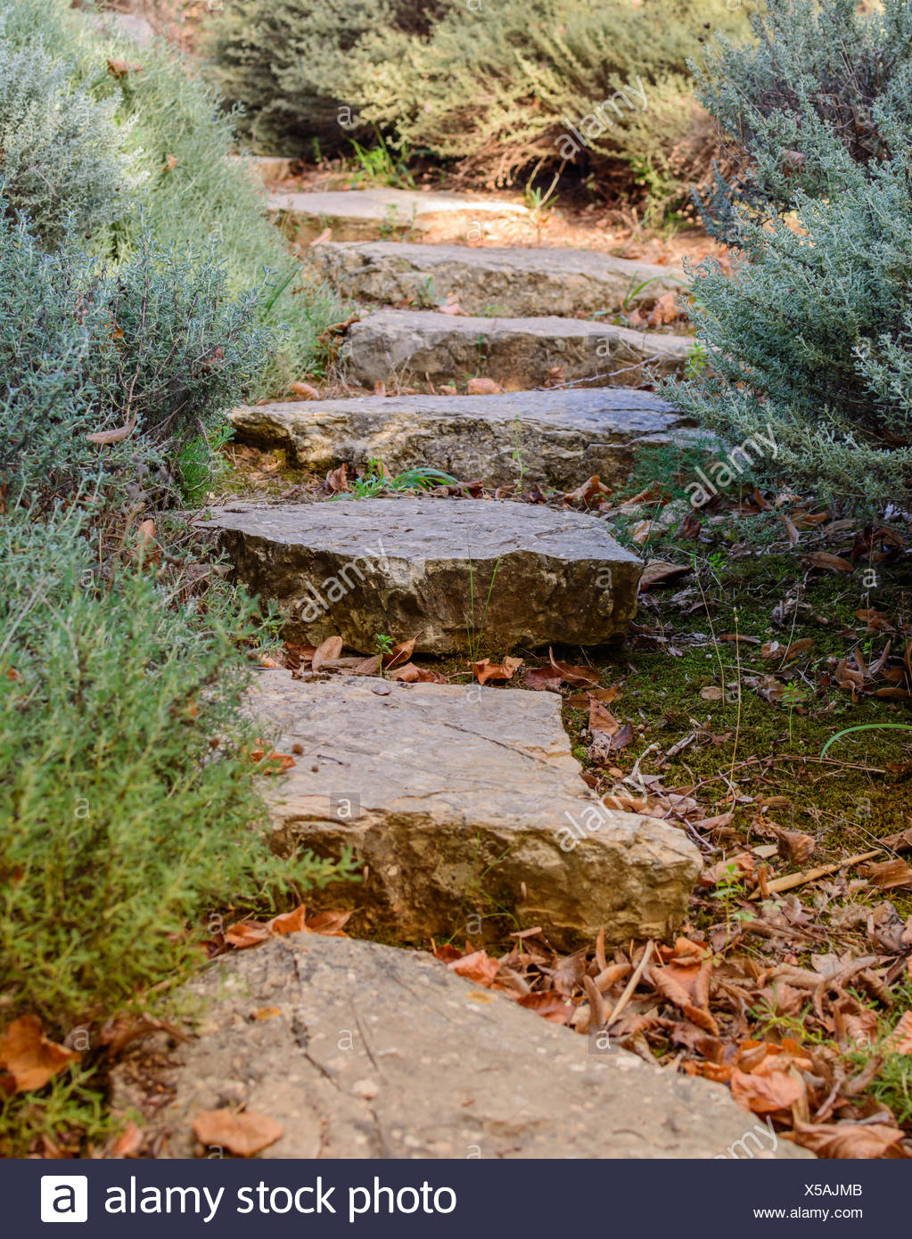 Gartenweg Mit Steinplatten Stockfoto Bild 278673371 Alamy