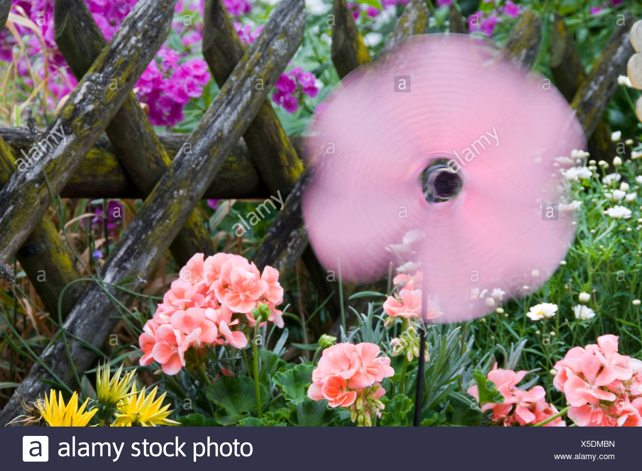 Kleines Windrad Und Bluten Nahaufnahme Stockfoto Bild 278740553