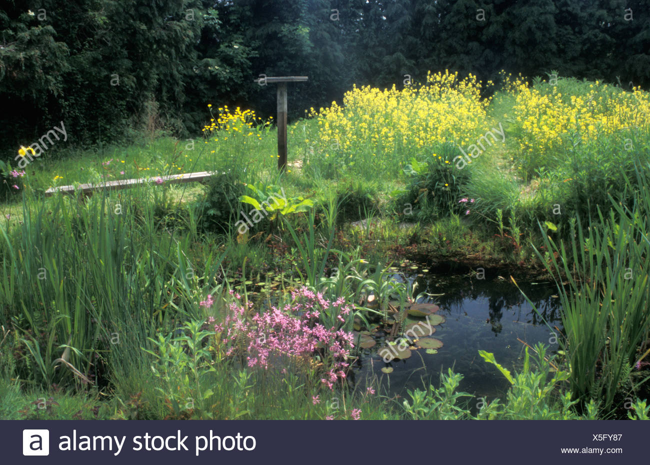 Okologischer Garten Gepflanzt Als Grundschulprojekt Stockfoto