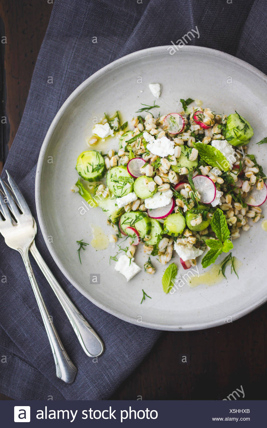 Dinkel-Salat mit Feta, Gurken, Radieschen und Dill auf einem weißen Teller. Stockfoto