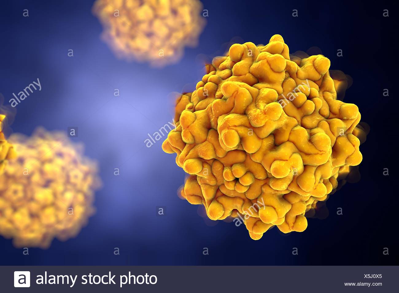 Parvovirus Artwork Stockfotos und bilder Kaufen Alamy