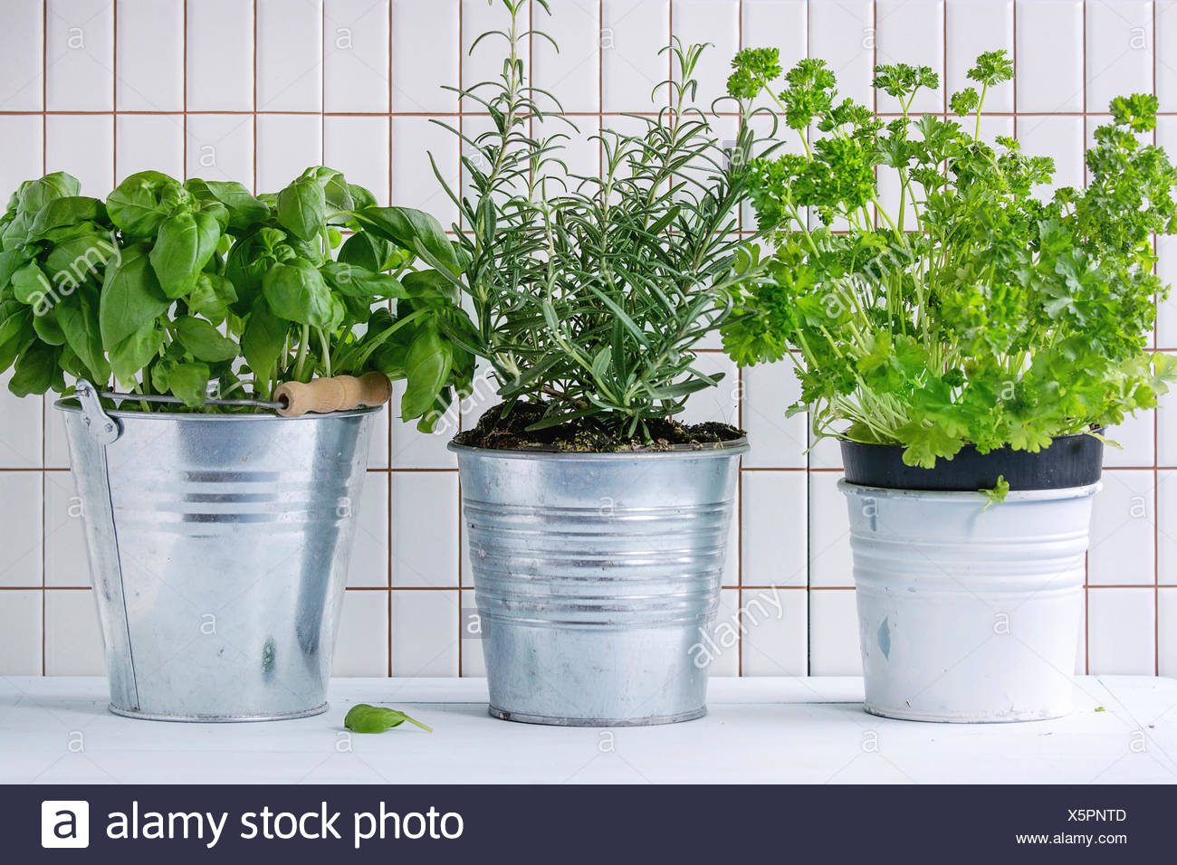Kräuter In Töpfen Stockfotos und bilder Kaufen Alamy