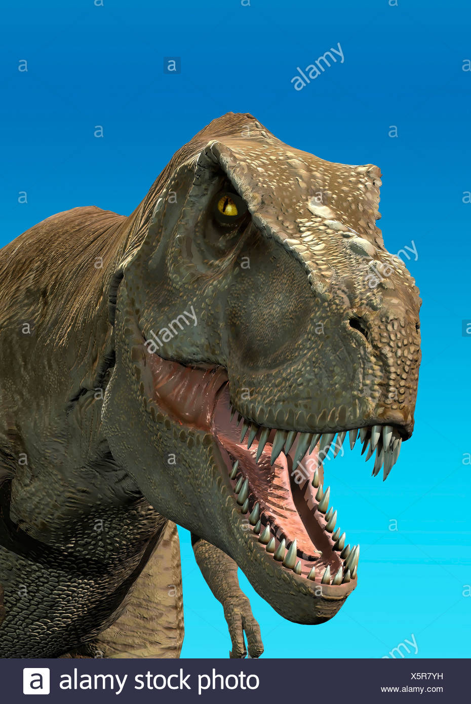 Fleischfresser Dinosaurier Ausgestorben Stockfotos und -bilder Kaufen