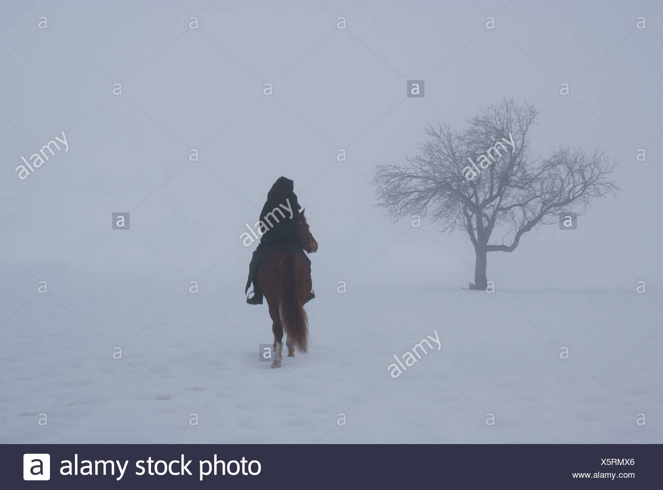 schwarzer Reiter Stockfoto