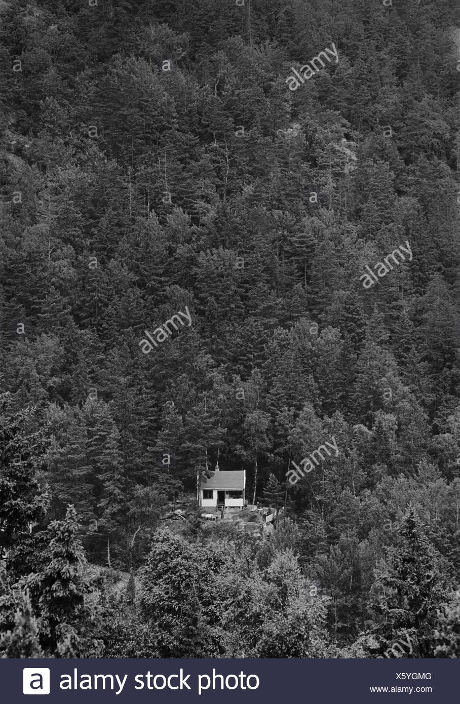 Einsames Haus Im Wald Bohuslan Schweden Stockfoto Bild