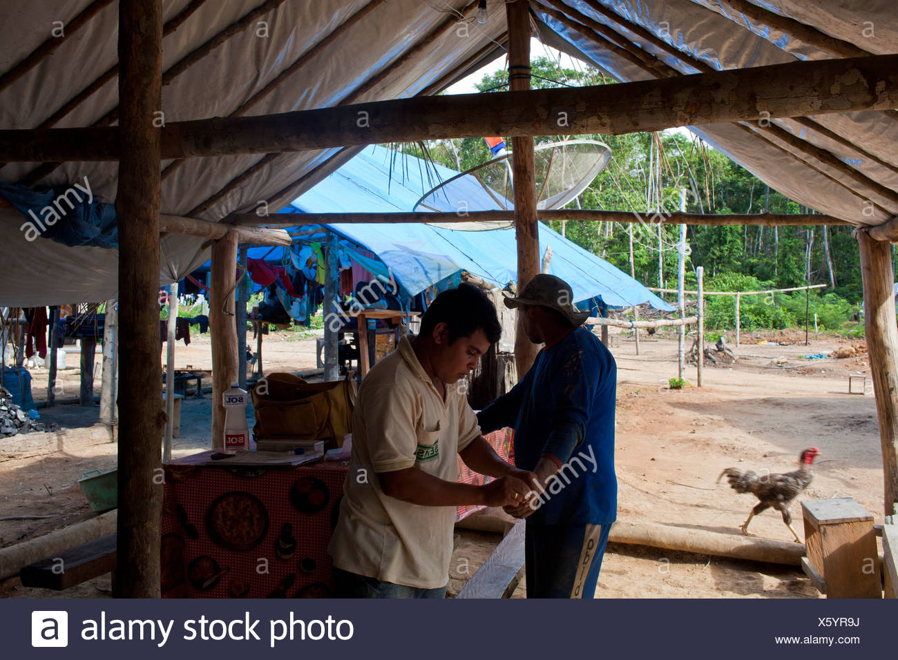 Health Agent Im Amazonasgebiet Goldbergbau Blutentnahme Aus Moglicherweise Malaria Infiziert Goldsucher Brasilien Stockfotografie Alamy