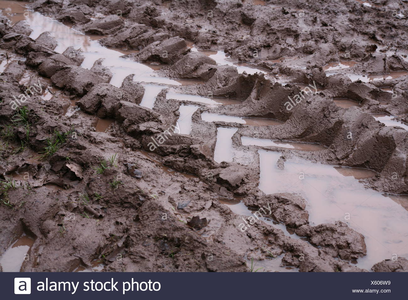 Matschig Stockfotografie Alamy