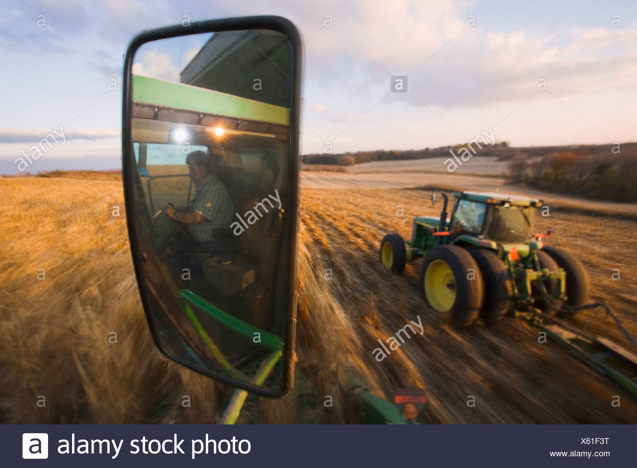 Ansicht Der Getreideernte Mais Aus Der Kabine Einen Mahdrescher Zeigt Einen Traktor Neben Ziehen Einen Korn Karren Minnesota Usa Stockfotografie Alamy